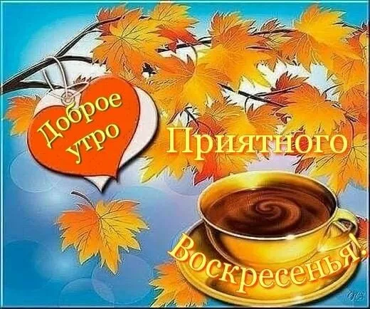 Картинки Доброе утро воскресенья. Доброе утро воскресенья картинки красивые