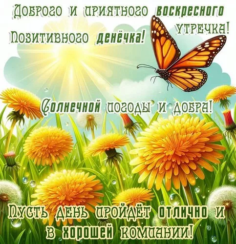 Картинки Доброе утро воскресенья. Доброе утро картинки воскресенья пожелания красивые