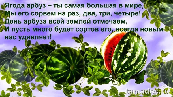 Картинки с Днем арбуза (90 открыток). С днем арбуза картинки прикольные