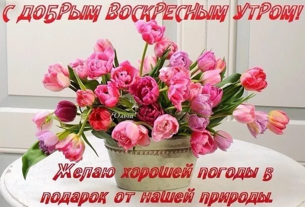 Картинки Доброе утро воскресенья. Доброе утро воскресенья картинки прикольные