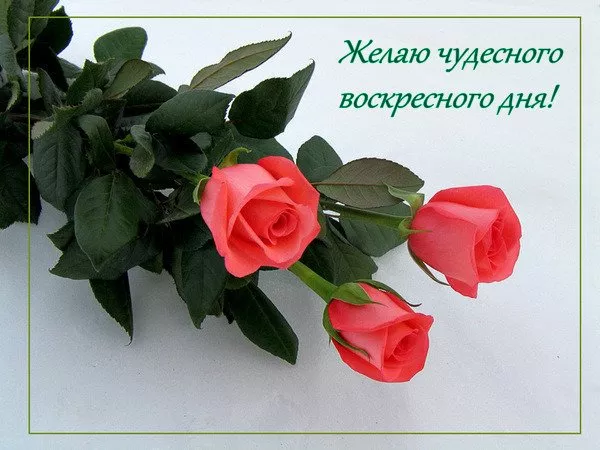 Картинки Доброе утро воскресенья. Доброе утро воскресенья картинки пожелания летние