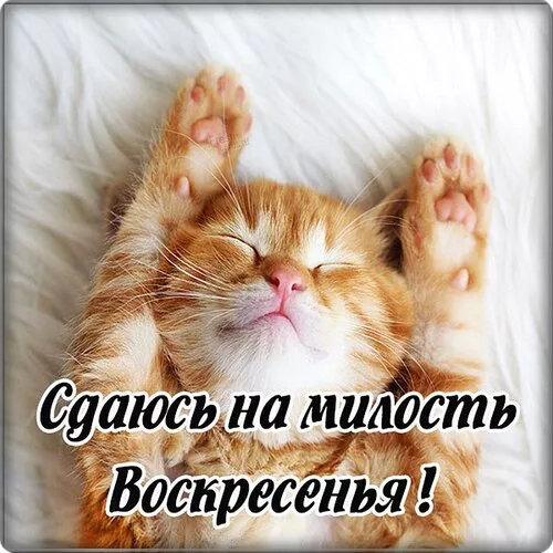 Картинки Доброе утро воскресенья. Доброе утро картинки воскресенья пожелания красивые