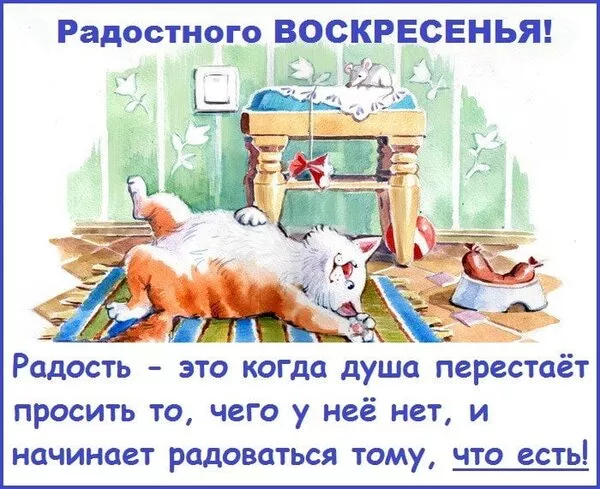 Картинки Доброе утро воскресенья. Доброе утро воскресенья картинки прикольные