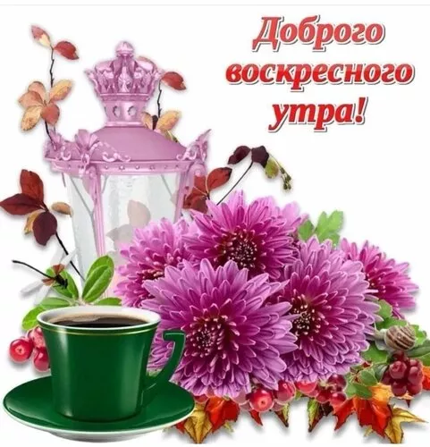 Картинки Доброе утро воскресенья. Доброе утро воскресенья картинки новые