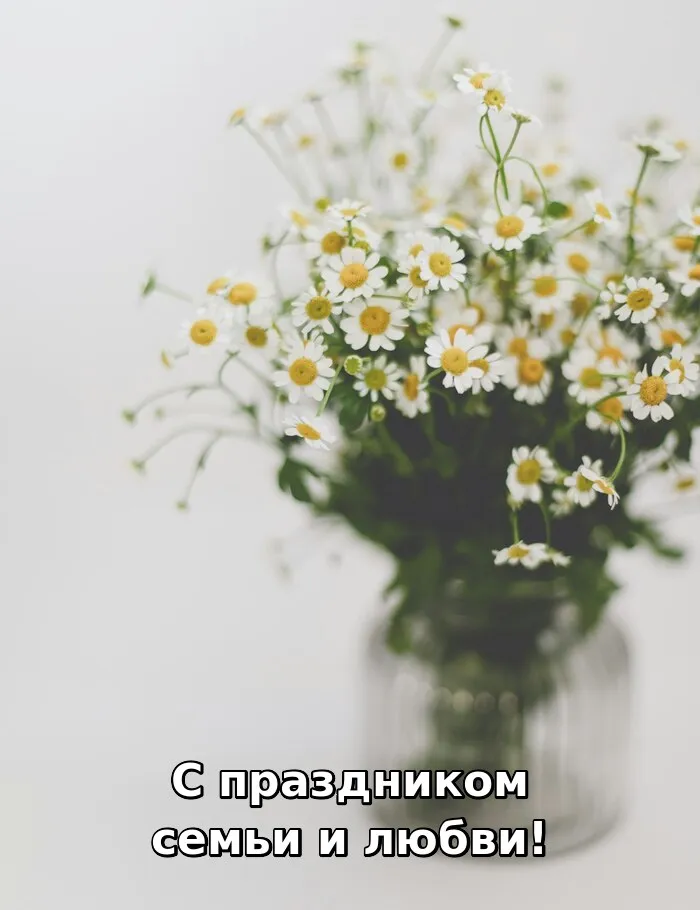 Открытки с Днём семьи, любви и верности. 
