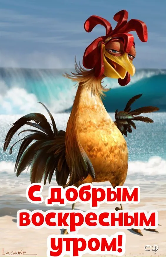 Картинки Доброе утро воскресенья. 