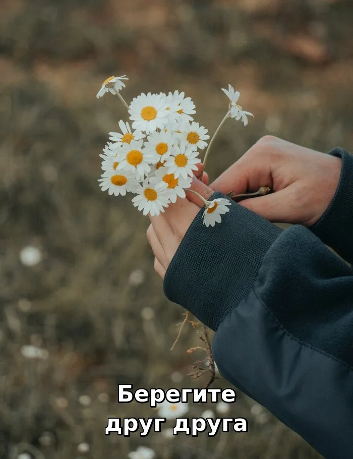 Открытки с Днём семьи, любви и верности. 