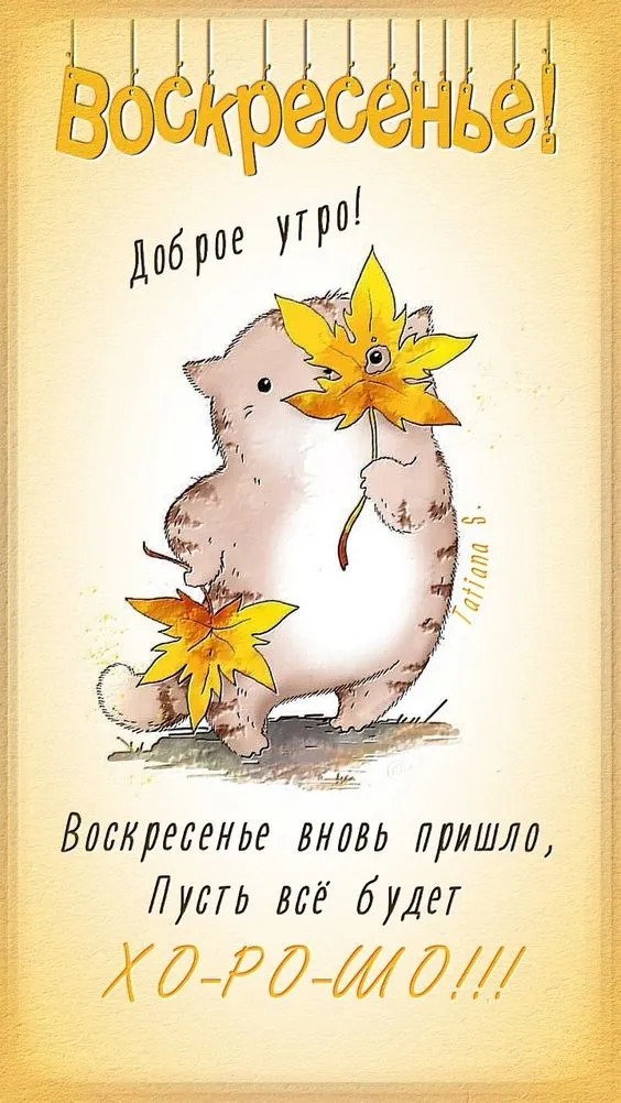 Картинки Доброе утро воскресенья. 