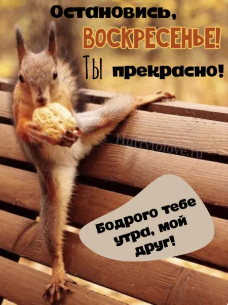 Картинки Доброе утро воскресенья. 