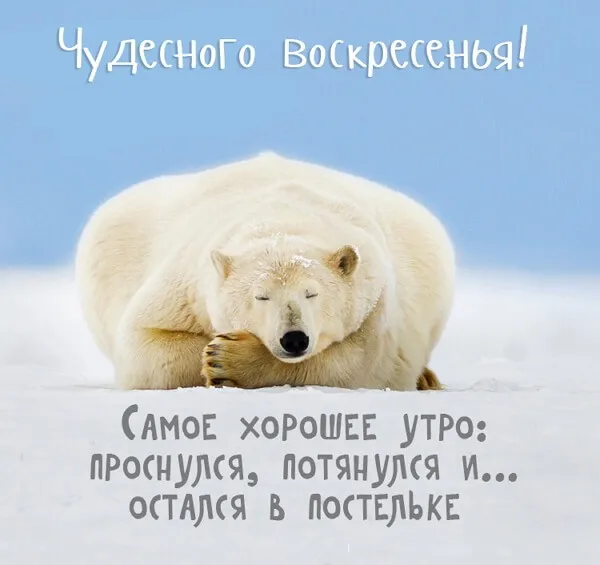 Картинки Доброе утро воскресенья. 