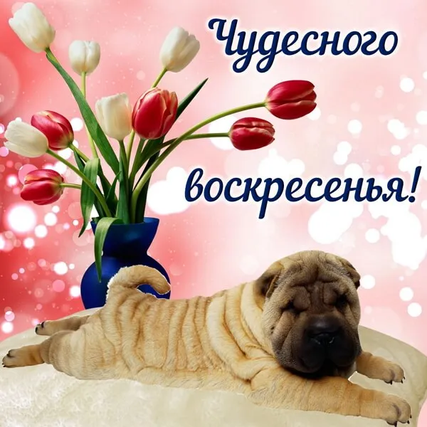 Картинки Доброе утро воскресенья. 