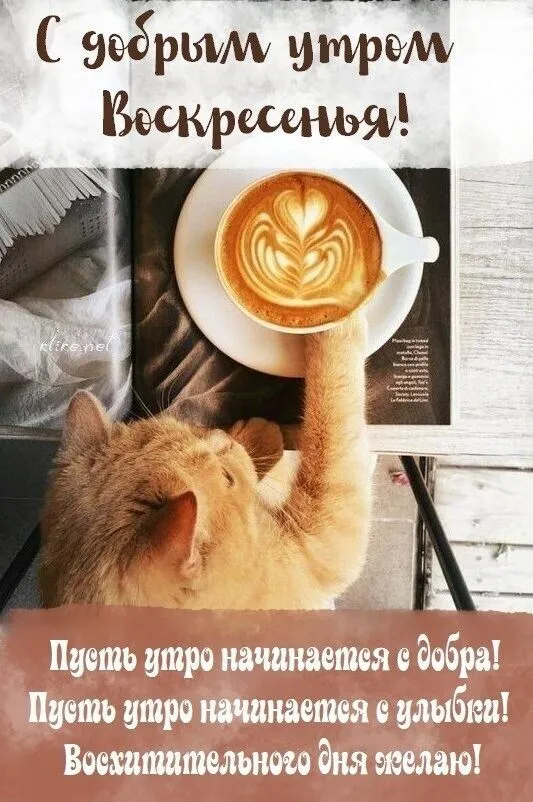 Картинки Доброе утро воскресенья. 