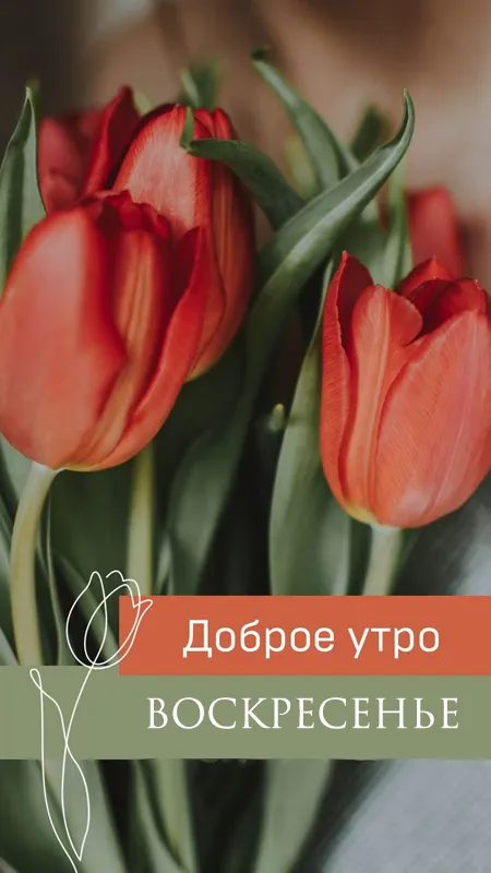 Картинки Доброе утро воскресенья. 