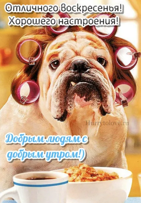 Картинки Доброе утро воскресенья. 