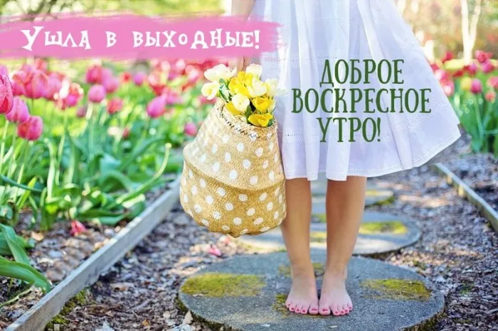 Картинки Доброе утро воскресенья. 