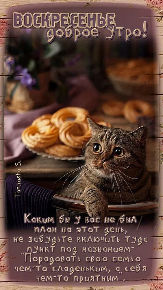 Картинки Доброе утро воскресенья. 