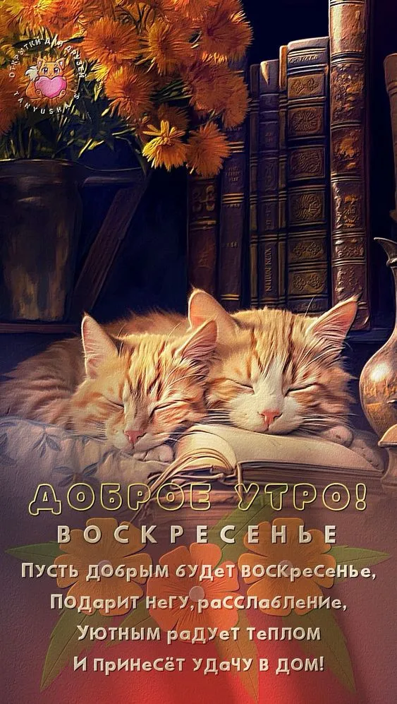 Картинки Доброе утро воскресенья. 