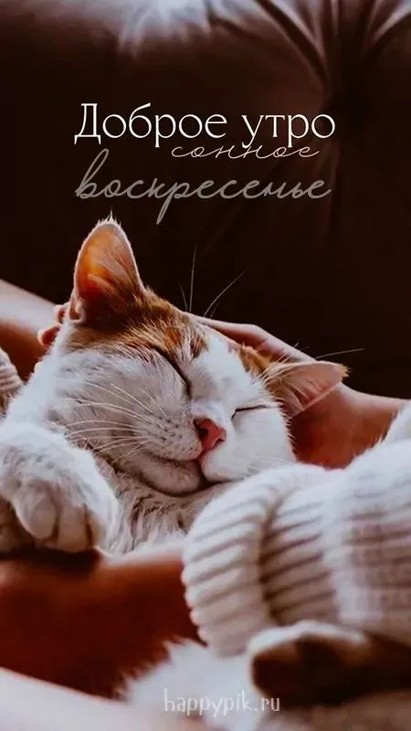 Картинки Доброе утро воскресенья. 