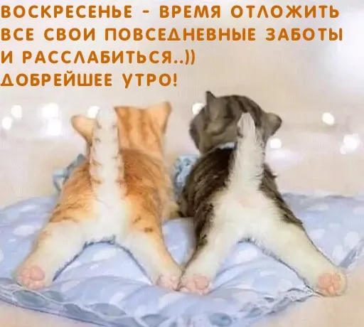Картинки Доброе утро воскресенья. 
