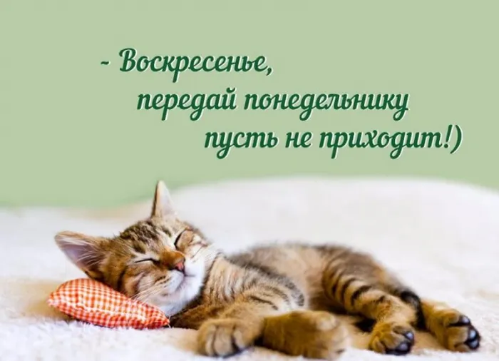 Картинки Доброе утро воскресенья. 