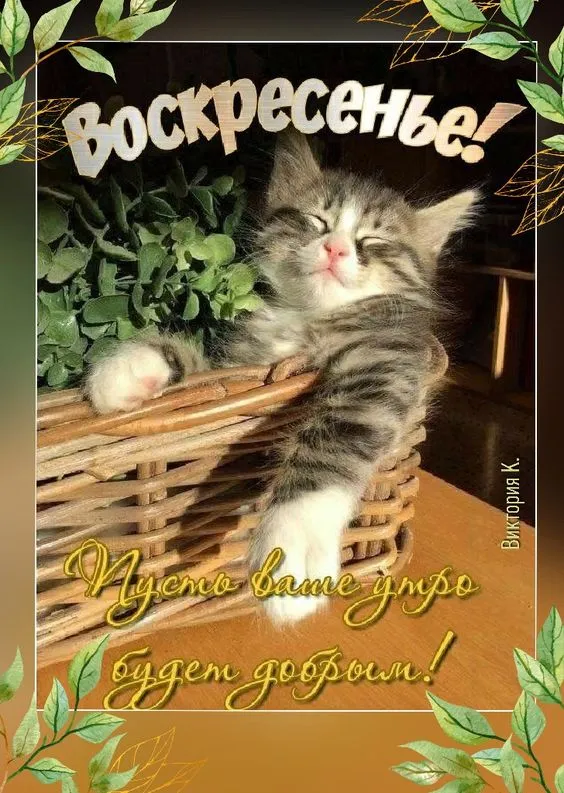 Картинки Доброе утро воскресенья. 