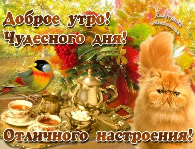 Картинки Доброе утро воскресенья. 