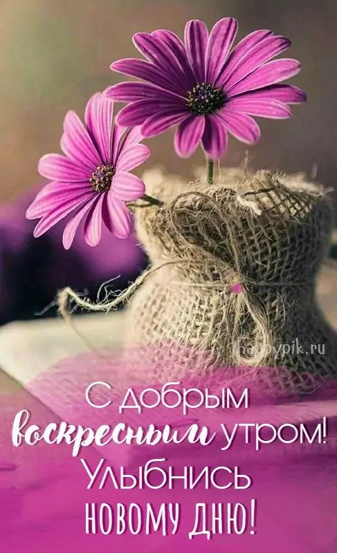 Картинки Доброе утро воскресенья. 