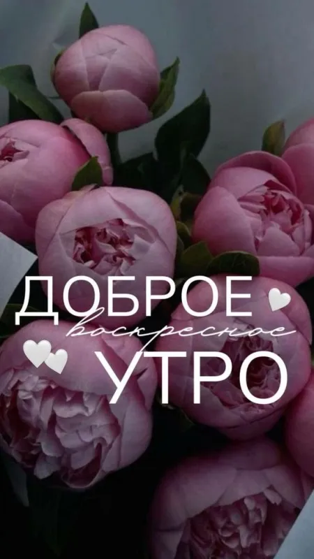 Картинки Доброе утро воскресенья. 