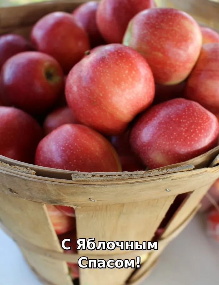 Картинки с Яблочным Спасом. 