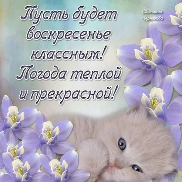 Картинки Доброе утро воскресенья. 
