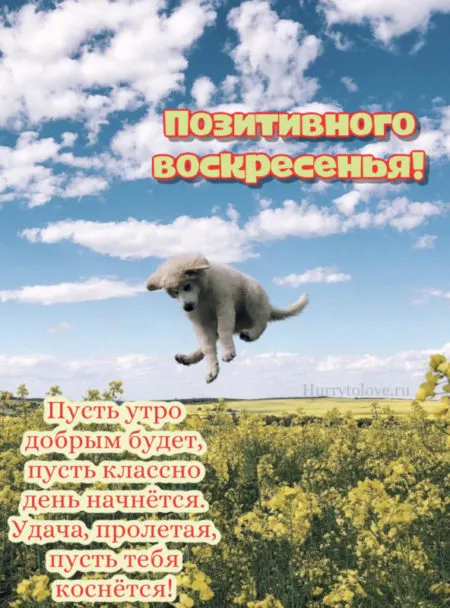 Картинки Доброе утро воскресенья. 