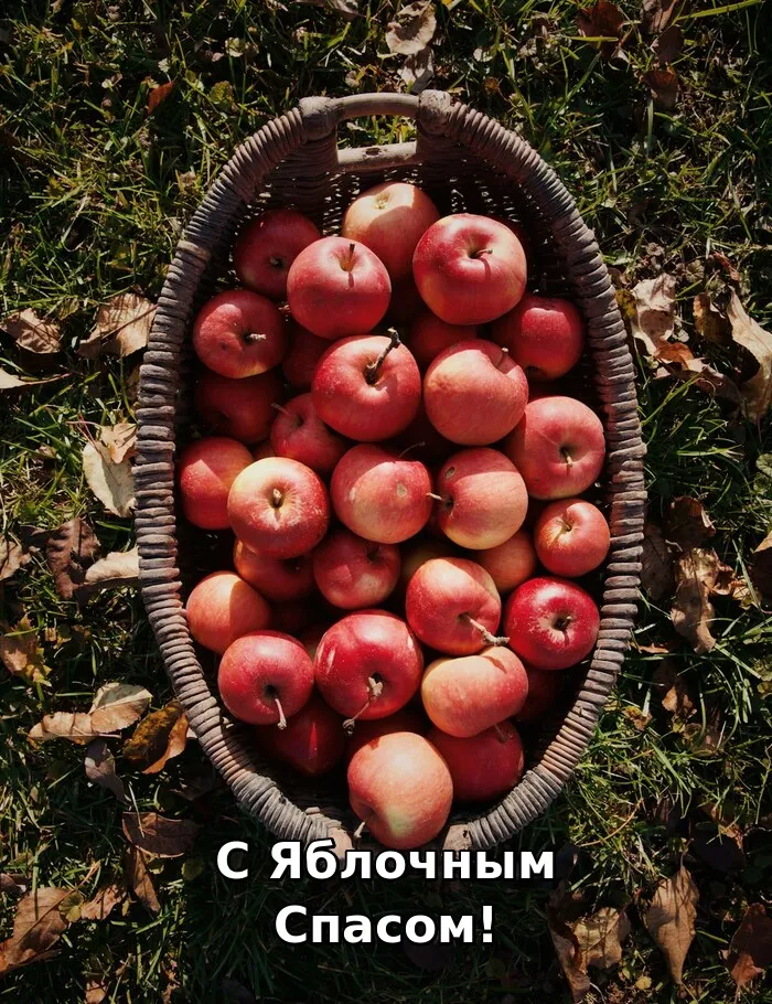 Картинки с Яблочным Спасом