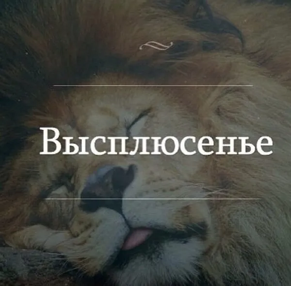 Картинки Доброе утро воскресенья. 