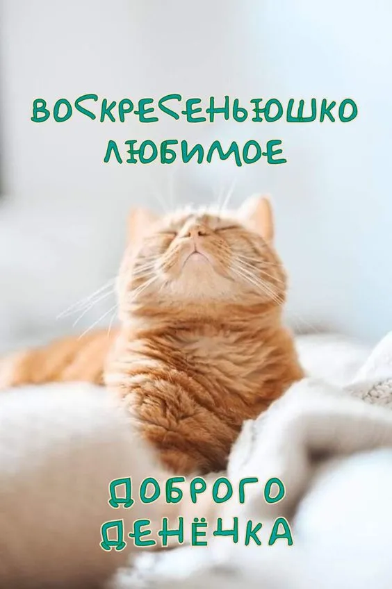 Картинки Доброе утро воскресенья. 