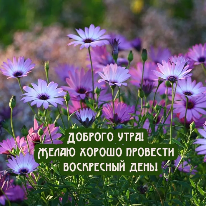 Картинки Доброе утро воскресенья. 