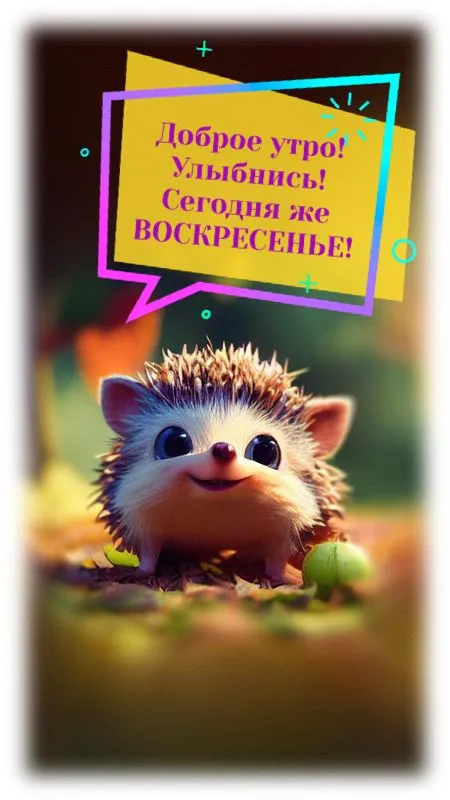 Картинки Доброе утро воскресенья. 