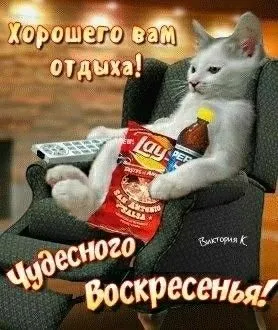 Картинки Доброе утро воскресенья. 