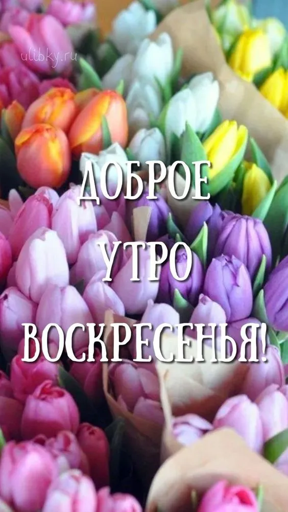 Картинки Доброе утро воскресенья. 