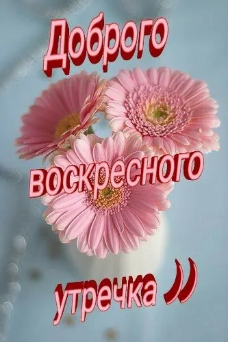 Картинки Доброе утро воскресенья. 