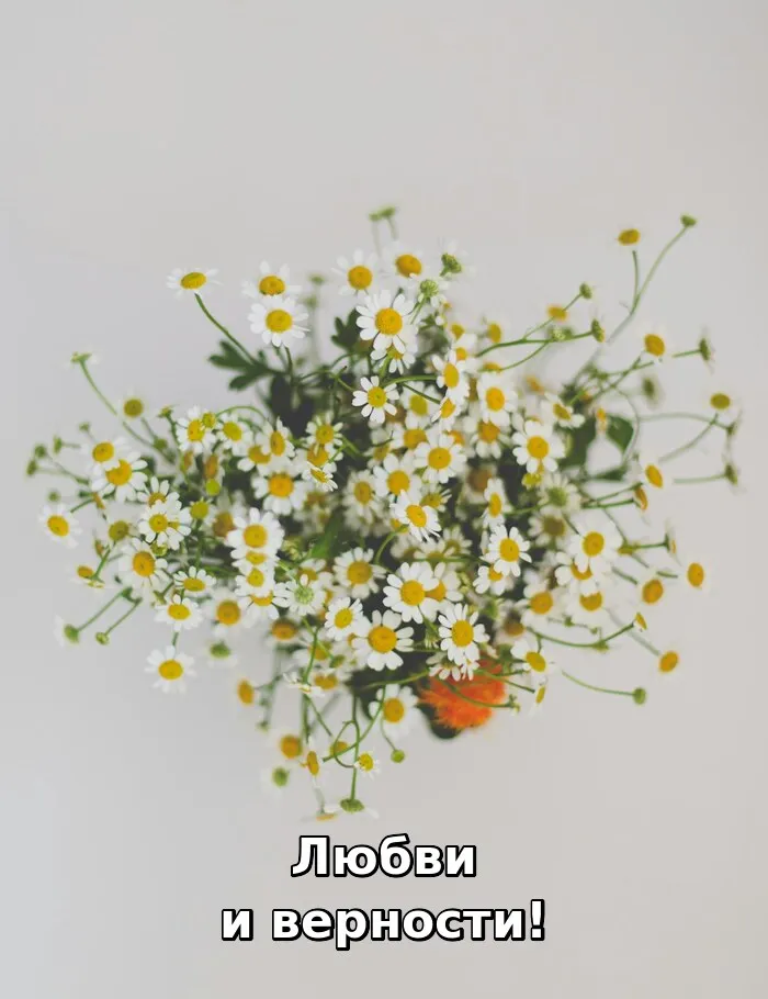Открытки с Днём семьи, любви и верности. 