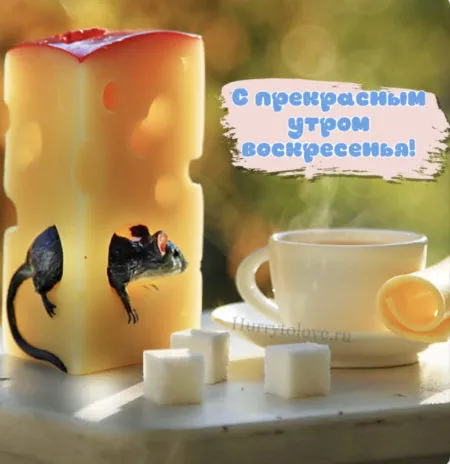Картинки Доброе утро воскресенья. 