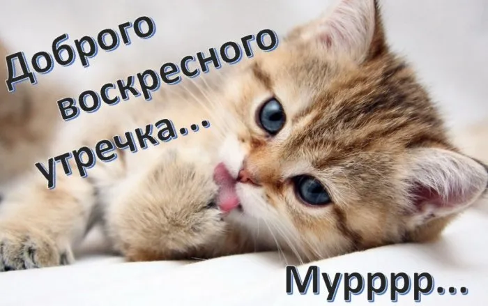 Картинки Доброе утро воскресенья. 