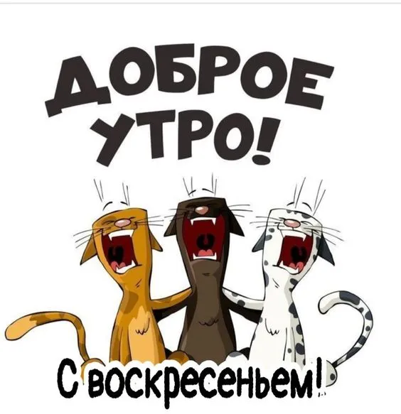 Картинки Доброе утро воскресенья. 
