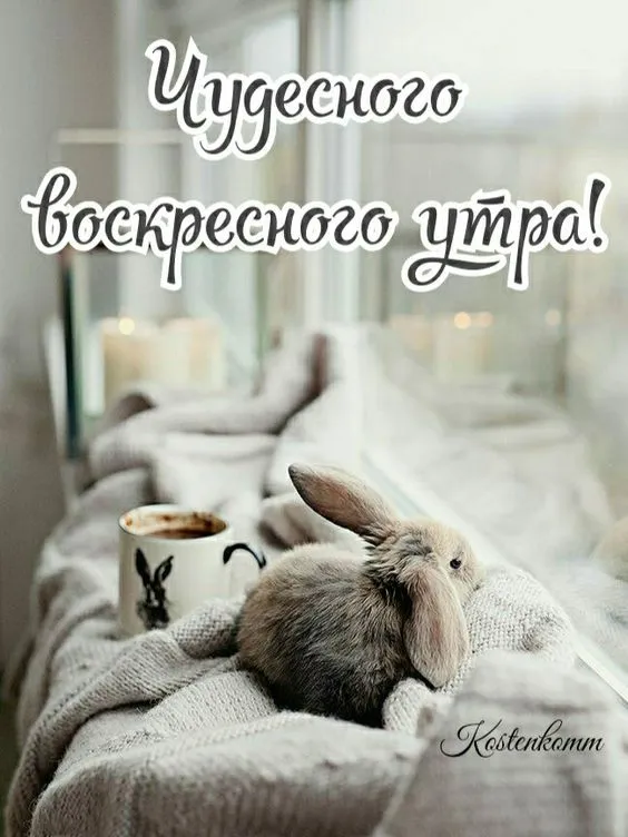 Картинки Доброе утро воскресенья. 