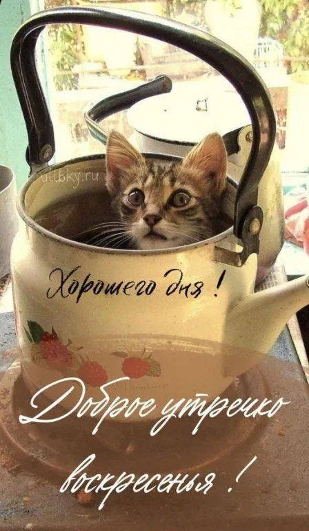 Картинки Доброе утро воскресенья. 