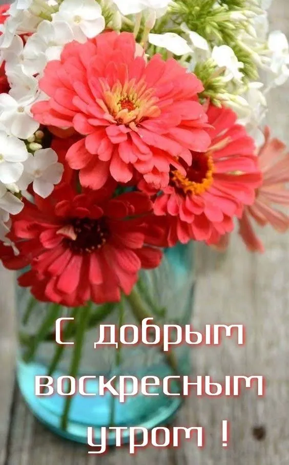 Картинки Доброе утро воскресенья. 