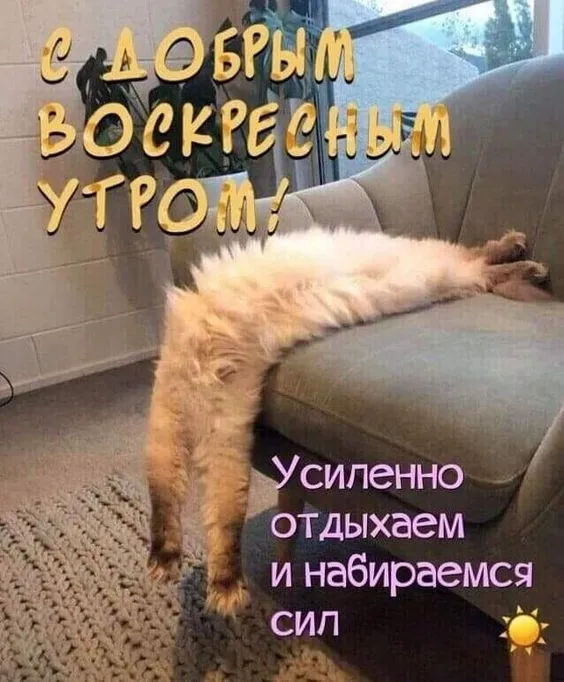 Картинки Доброе утро воскресенья. 
