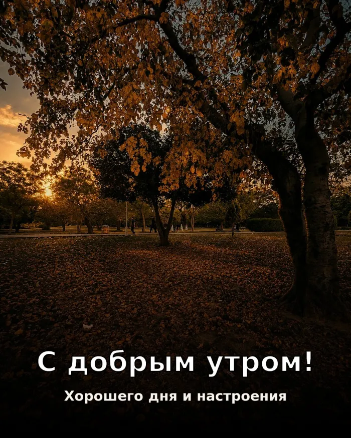 Красивые картинки Доброе утро осени. Открытки с добрым осенним утром — скачать бесплатно