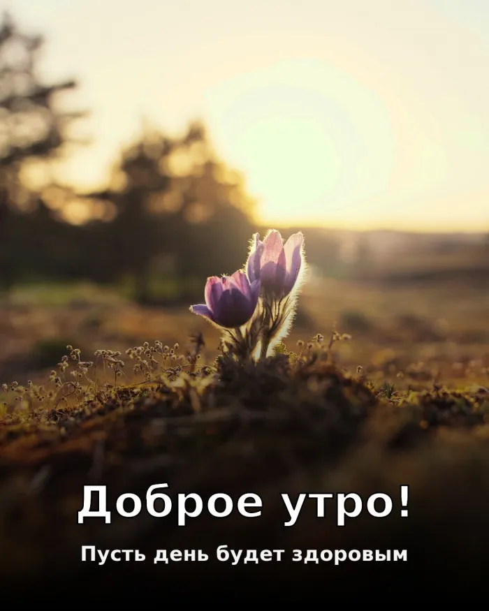 Картинки Доброго здоровья. Доброе утро — картинки с пожеланием здоровья