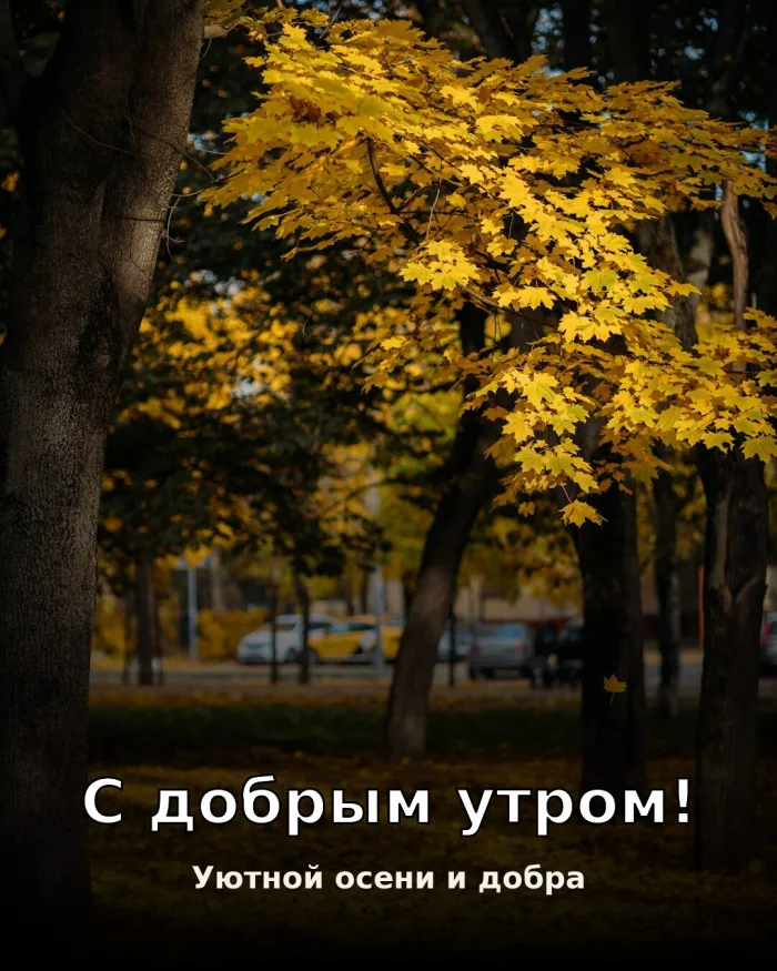 Красивые картинки Доброе утро осени. Открытки с добрым осенним утром — скачать бесплатно